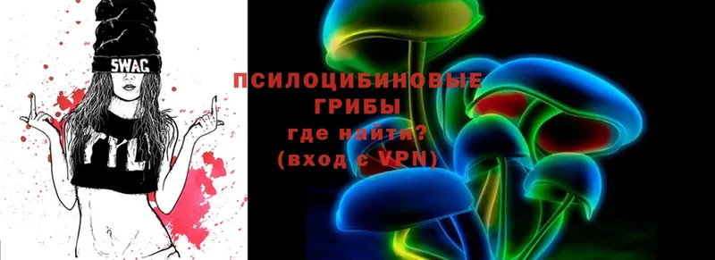 blacksprut как войти  как найти   Георгиевск  Псилоцибиновые грибы Psilocybe 